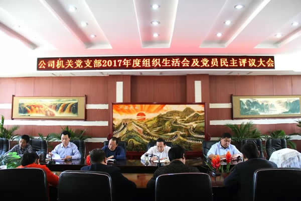 隴運(yùn)集團(tuán)公司機(jī)關(guān)黨支部召開專題組織生活會(huì)及黨員民主評議大會(huì)