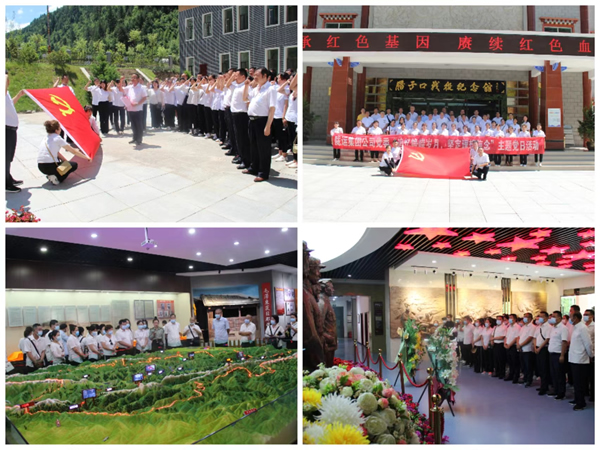 隴運(yùn)集團(tuán)公司黨委積極開展慶“七一”系列活動(dòng)