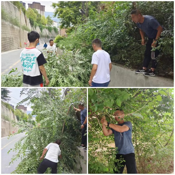 隴運集團公司工作動態(tài)(7.16—7.24)